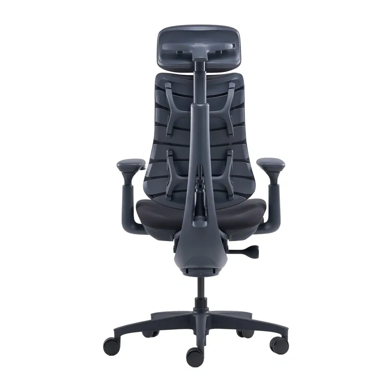 LiberNovo Omni 48 cm Ergonomic Chair (Black)